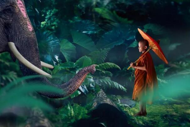 在最美的季節(jié)遇見你 雅居樂“上山下?！斌w驗行